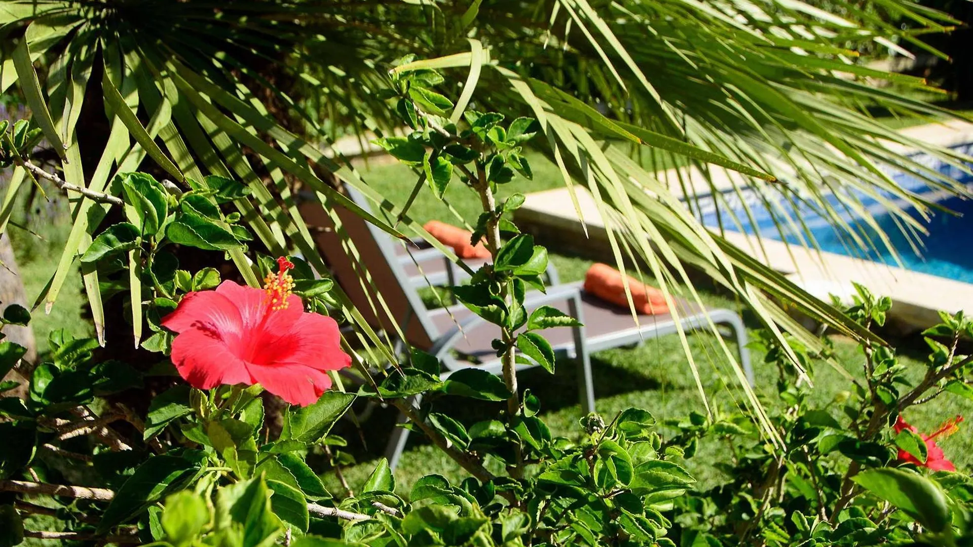 Villa Tintorer Port de Pollenca